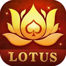 teen patti 886 download